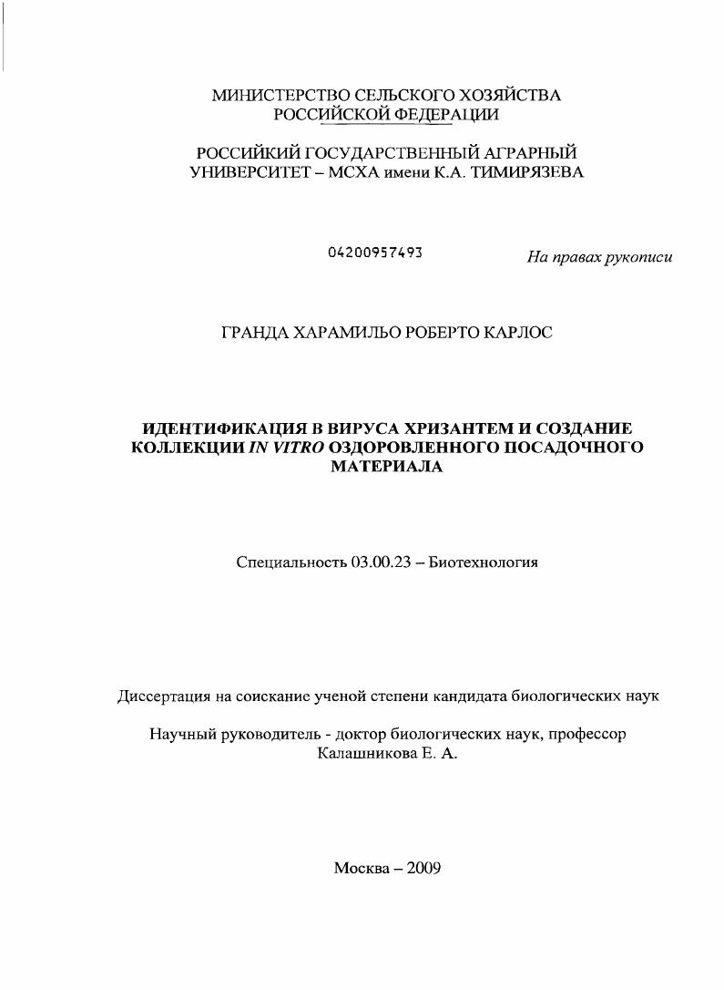 Идентификация B вируса хризантем и создание коллекции in vitro оздоровленного посадочного материала