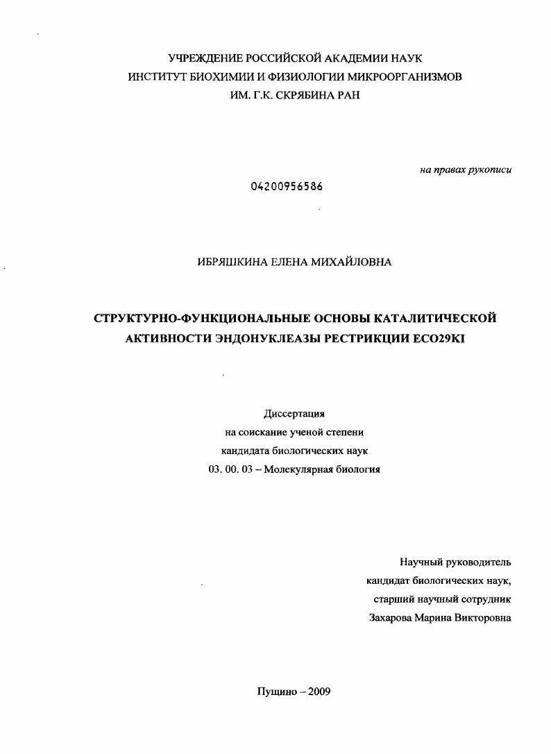 Структурно-функциональные основы каталитической активности эндонуклеазы рестрикции Eco29kI