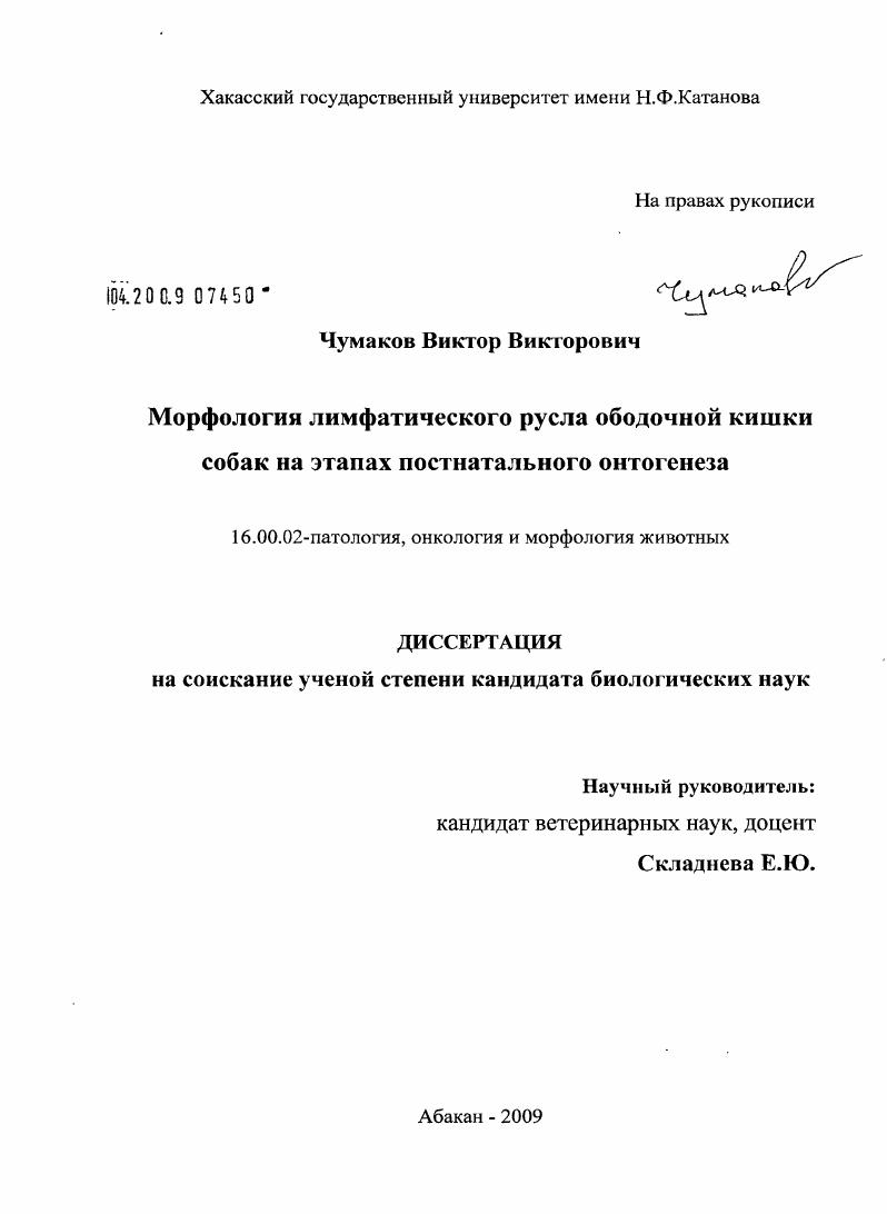 Морфология лимфатического русла ободочной кишки собак на этапах постнатального онтогенеза