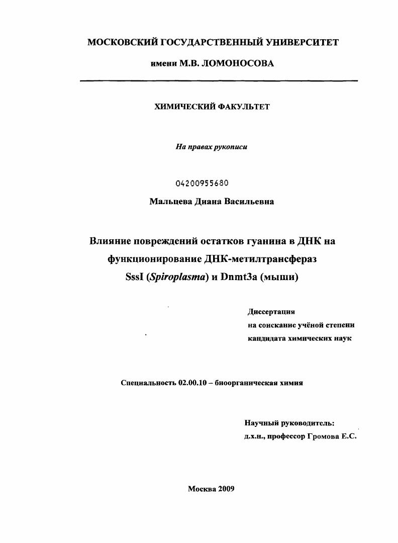 Влияние повреждений остатков гуанина в ДНК на функционирование ДНК-метилтрансфераз SssI (Spiroplasma) и Dnmt3a (мыши)