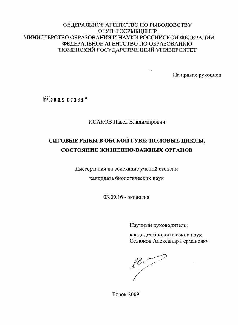 Сиговые рыбы в Обской губе: половые циклы, состояние жизненно-важных органов