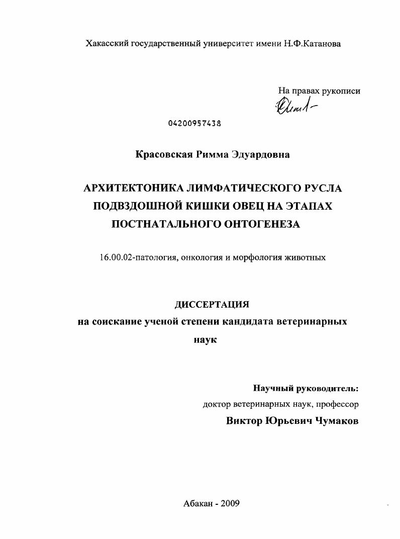 Архитектоника лимфатического русла подвздошной кишки овец на этапах постнатального онтогенеза