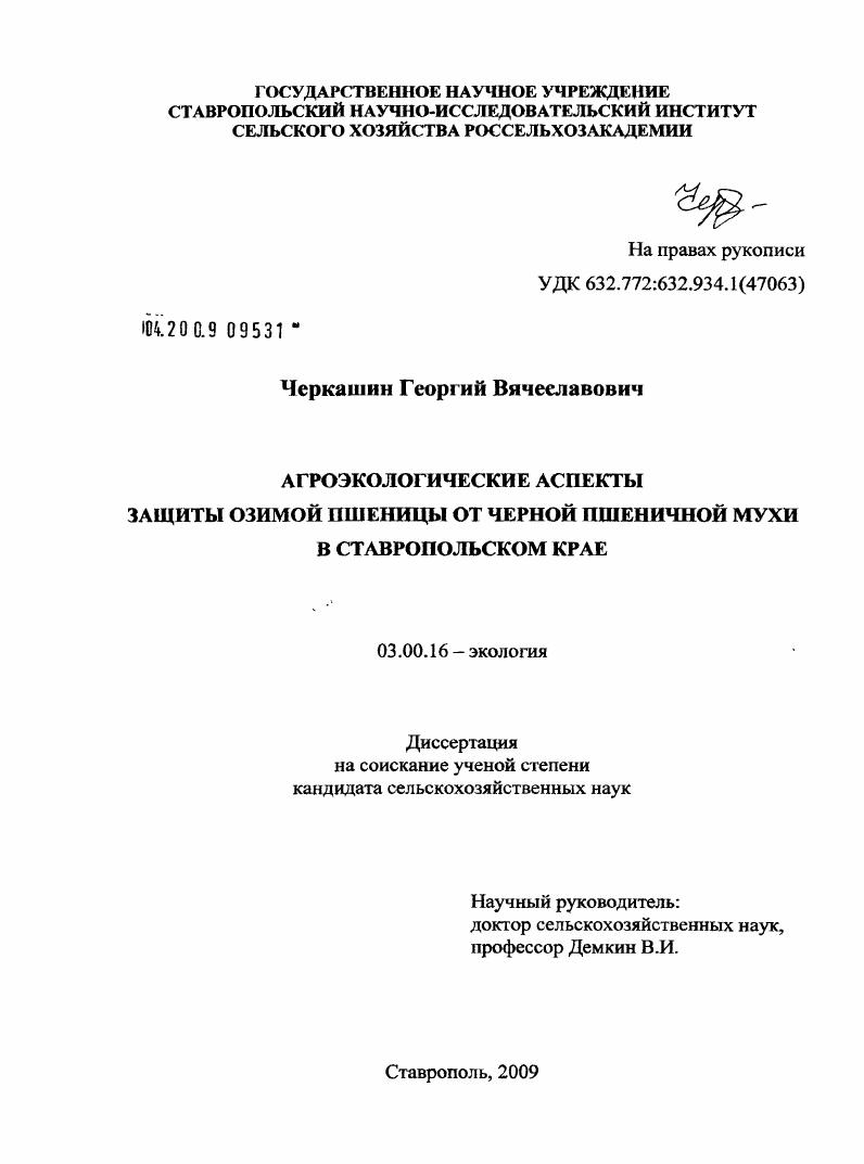 Агроэкологические аспекты защиты озимой пшеницы от черной пшеничной мухи в Ставропольском крае
