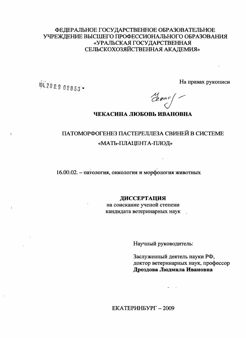 Патоморфогенез пастереллеза свиней в системе "мать-плацента-плод"