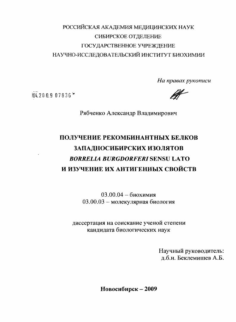 скачать диссертацию Получение рекомбинантных белков западносибирских изолятов Borrelia burgdorferi sensu lato и изучение их антигенных свойств Получение рекомбинантных белков западносибирских изолятов Borrelia burgdorferi sensu lato и изучение их антигенных свойств