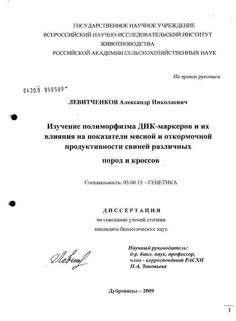 Изучение полиморфизма ДНК-маркеров и их влияния на показатели мясной и откормочной продуктивности свиней различных пород и кроссов