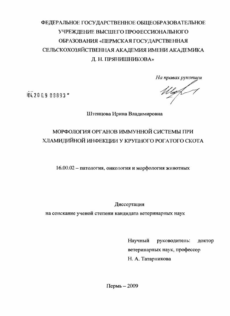Морфология органов иммунной системы при хламидийной инфекции у крупного рогатого скота