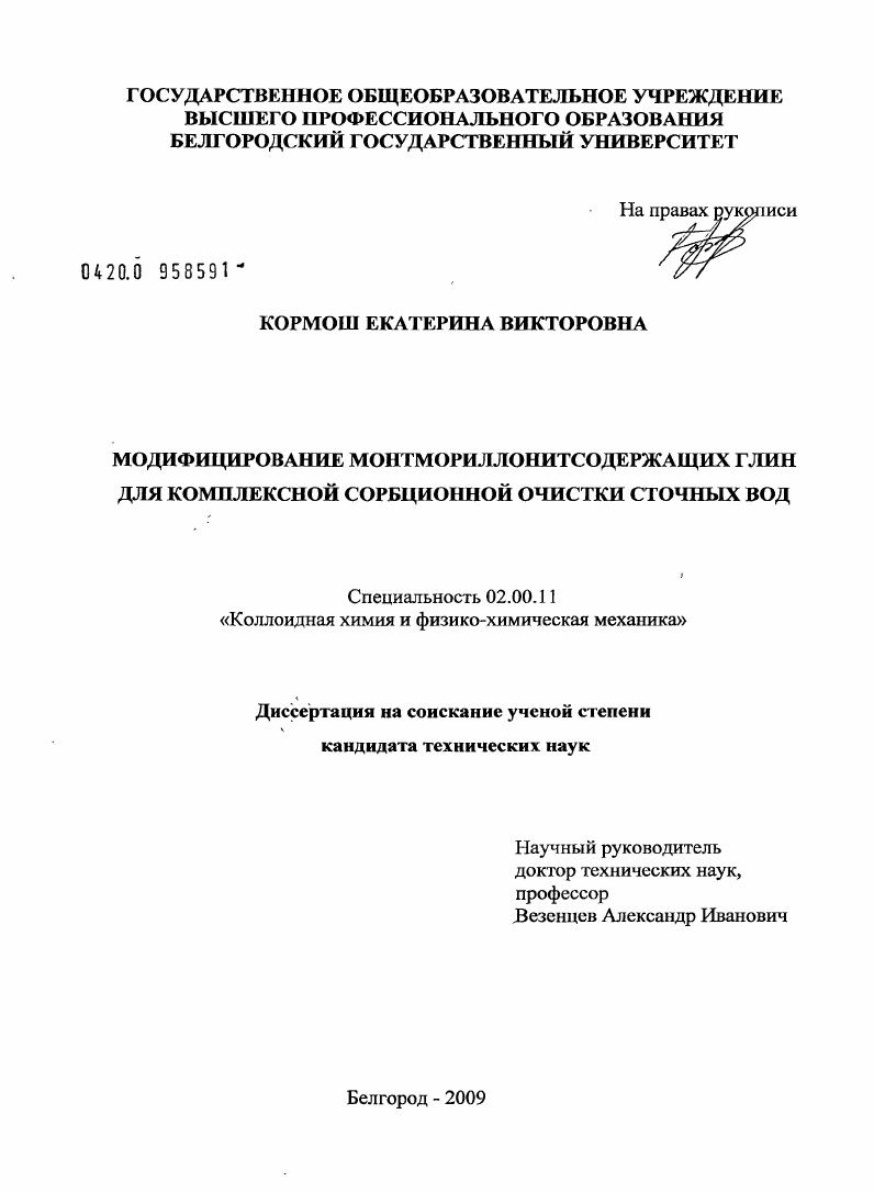 Модифицирование монтмориллонитсодержащих глин для комплексной сорбционной очистки сточных вод