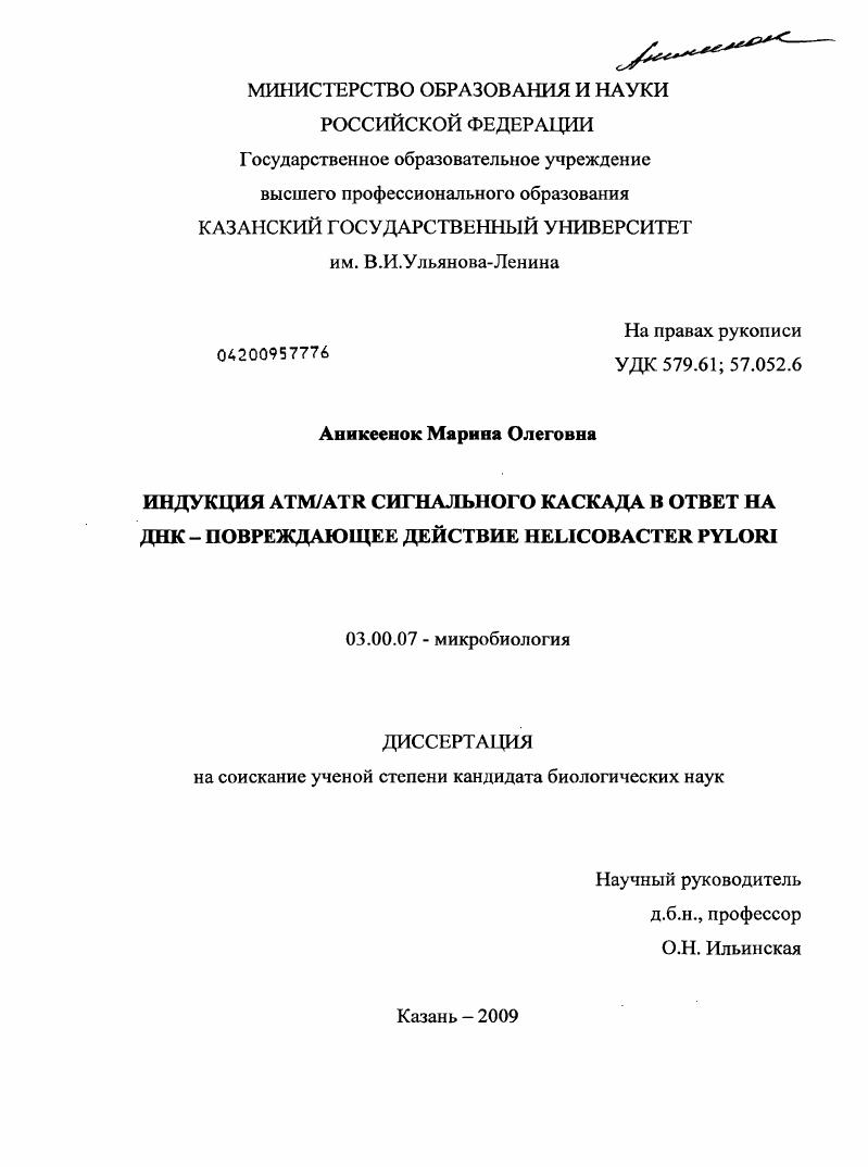 скачать диссертацию Индукция ATM/ATR сигнального каскада в ответ на ДНК - повреждающее действие Helicobacter pylori Индукция ATM/ATR сигнального каскада в ответ на ДНК - повреждающее действие Helicobacter pylori