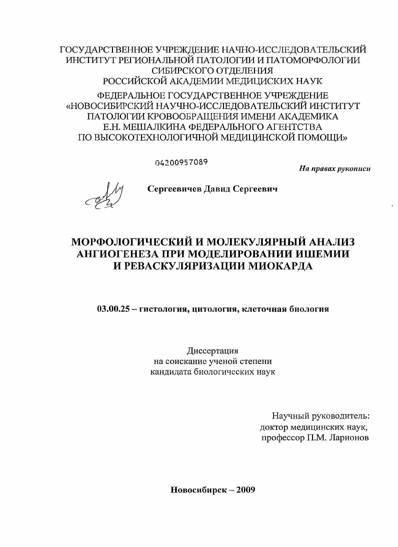 Морфологический и молекулярный анализ ангиогенеза при моделировании ишемии и реваскуляризации миокарда