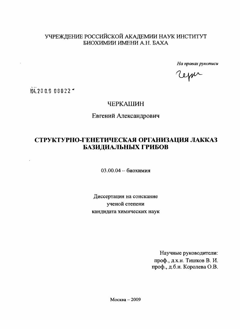 Структурно-генетическая организация лакказ базидиальных грибов