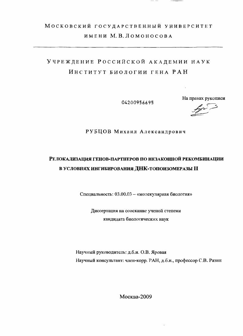 Релокализация генов-партнеров по незаконной рекомбинации в условиях ингибирования ДНК-топоизомеразы II