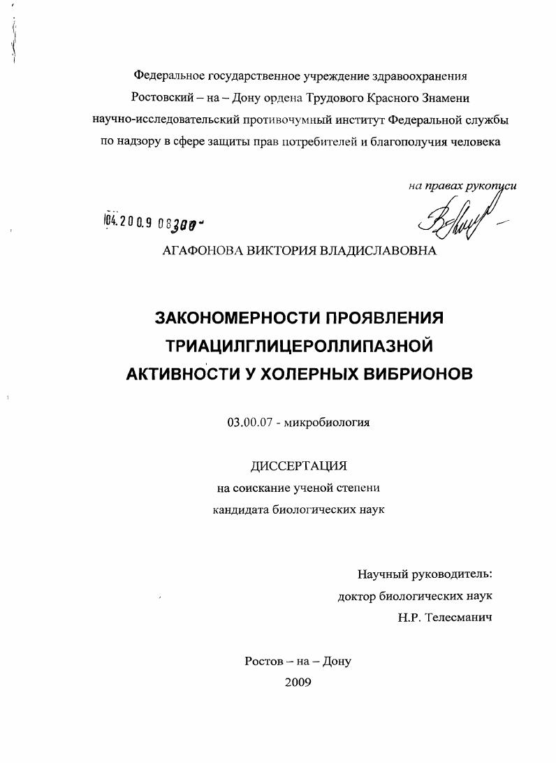 скачать диссертацию Закономерности проявления триацилглицероллипазной активности у холерных вибрионов Закономерности проявления триацилглицероллипазной активности у холерных вибрионов