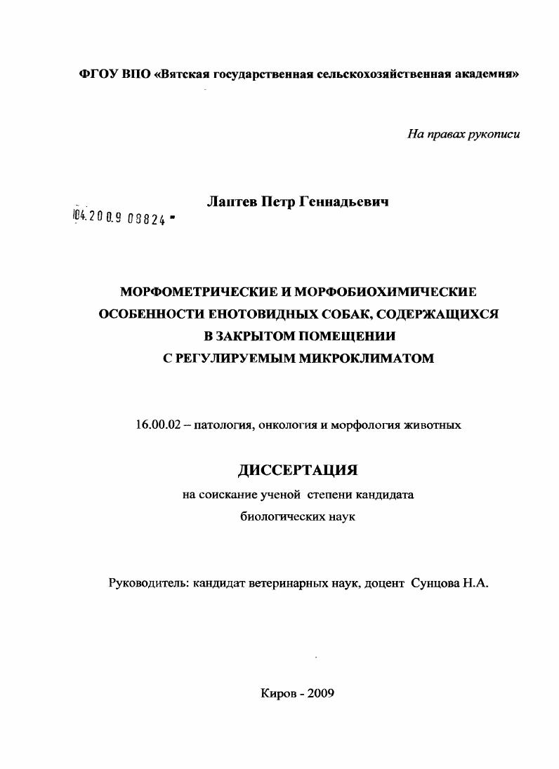 Морфометрические и морфобиохимические особенности енотовидных собак, содержащихся в закрытом помещении с регулируемым микроклиматом