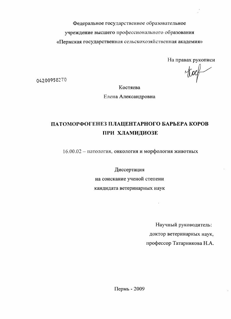 Патоморфогенез плацентарного барьера коров при хламидиозе