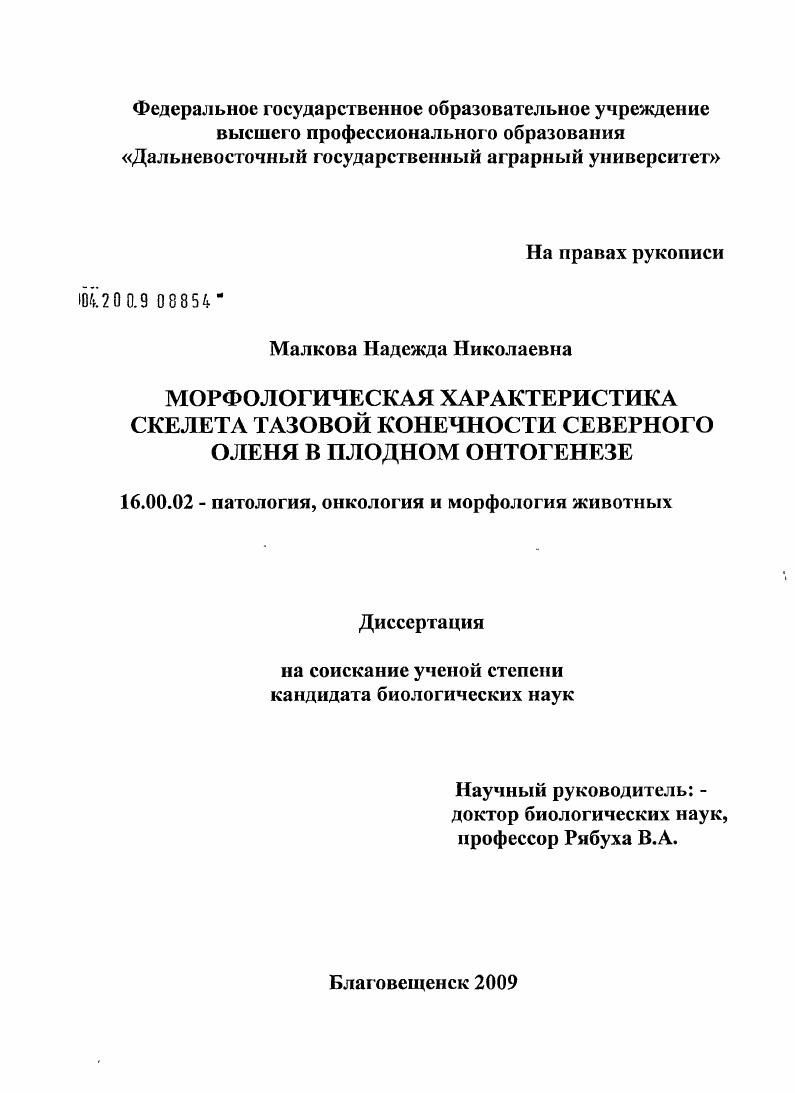 Морфологическая характеристика скелета тазовой конечности северного оленя в плодном онтогенезе