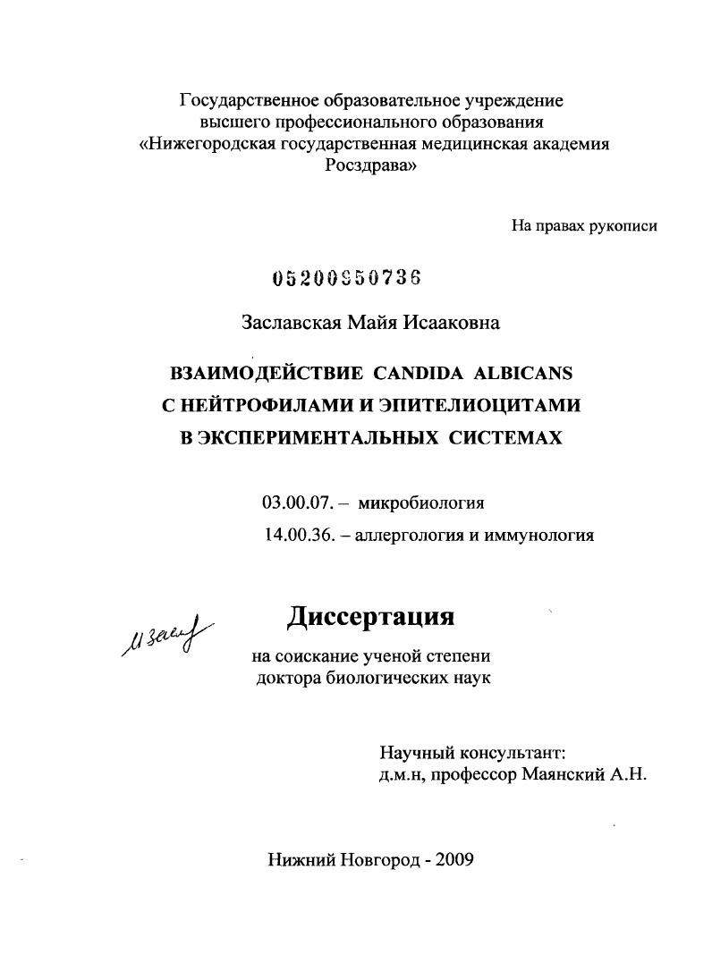 Взаимодействие Candida albicans с нейтрофилами и эпителиоцитами в экспериментальных системах