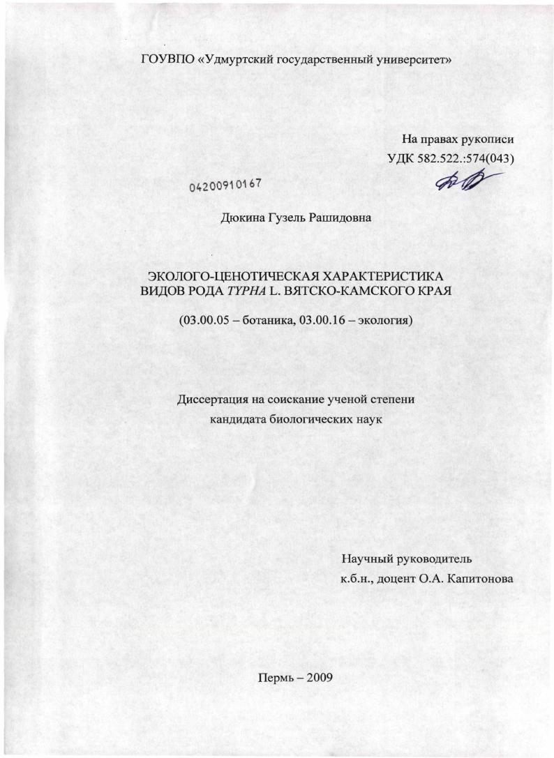 Эколого-ценотическая характеристика видов рода Typha L. Вятско-Камского края