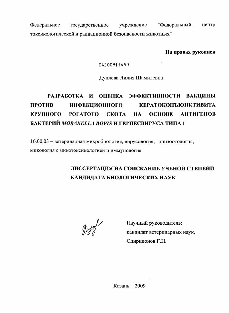 Разработка и оценка эффективности вакцины против инфекционного кератоконъюнктивита крупного рогатого скота на основе антигенов бактерий Moraxella bovis и герпесвируса типа 1