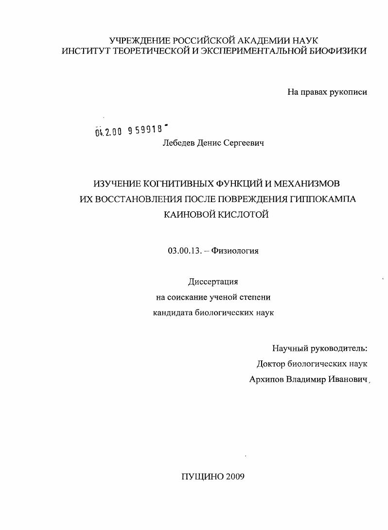 Изучение когнитивных функций и механизмов их восстановления после повреждения гиппокампа каиновой кислотой