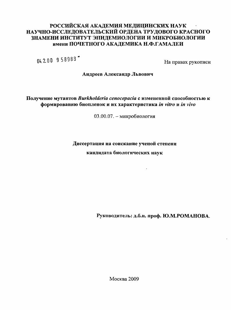 Получение мутантов Burkholderia cenocepacia с измененной способностью к формированию биопленок и их характеристика in vitro и in vivo