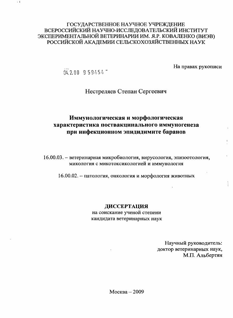 Иммунологическая и морфологическая характеристика поствакцинального иммуногенеза при инфекционном эпидидимите баранов