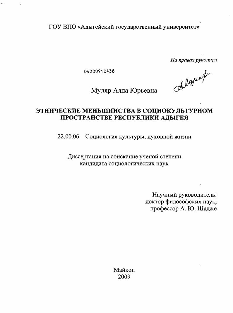 Этнические меньшинства в социокультурном пространстве Республики Адыгея
