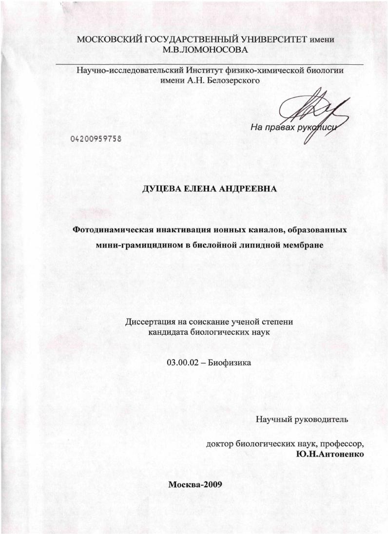 Фотодинамическая инактивация ионных каналов, образованных мини-грамицидином в бислойной липидной мембране