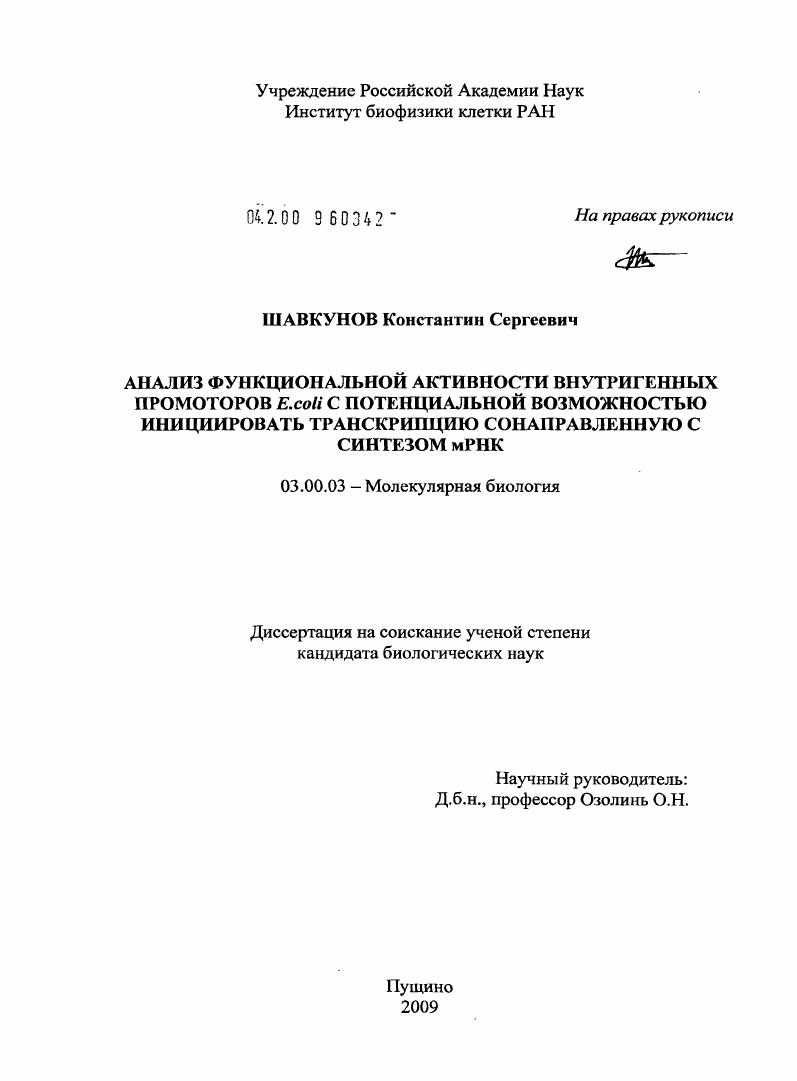 Анализ функциональной активности внутригенных промоторов E. coli с потенциальной возможностью инициировать транскрипцию, сонаправленную с синтезом мРНК