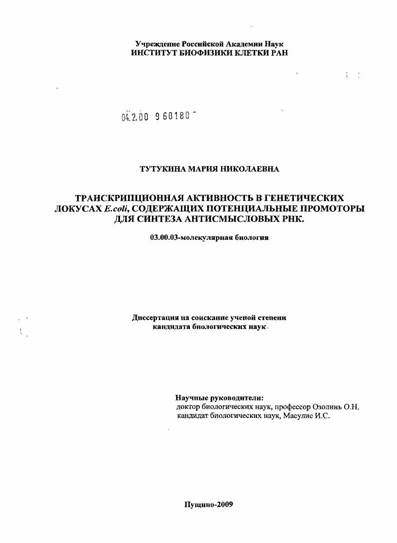 скачать диссертацию Транскрипционная активность в генетических локусах E. coli, содержащих потенциальные промоторы для синтеза антисмысловых РНК Транскрипционная активность в генетических локусах E. coli, содержащих потенциальные промоторы для синтеза антисмысловых РНК
