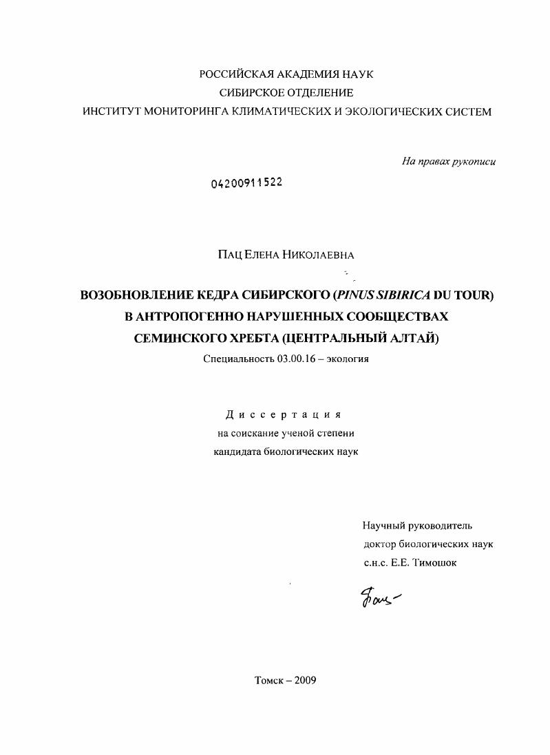 скачать диссертацию Возобновление кедра сибирского (Pinus sibirica du tour) в антропогенно нарушенных сообществах Семинского хребта : Центральный Алтай Возобновление кедра сибирского (Pinus sibirica du tour) в антропогенно нарушенных сообществах Семинского хребта : Центральный Алтай