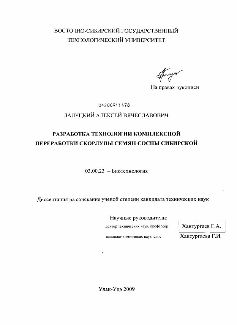 Разработка технологии комплексной переработки скорлупы семян сосны сибирской