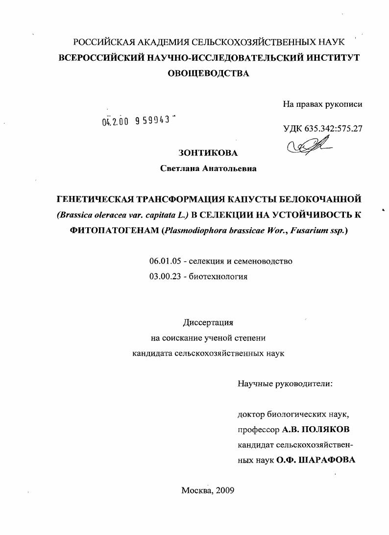 Генетическая трансформация капусты белокачанной (Brassica oleracea var. capitata L.) в селекции на устойчивость к фитопатогенам (Plasmodiophora brassicae Wor., Fusarium ssp.)