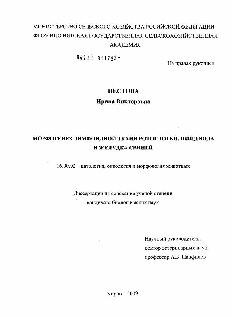 Морфогенез лимфоидной ткани ротоглотки, пищевода и желудка свиней