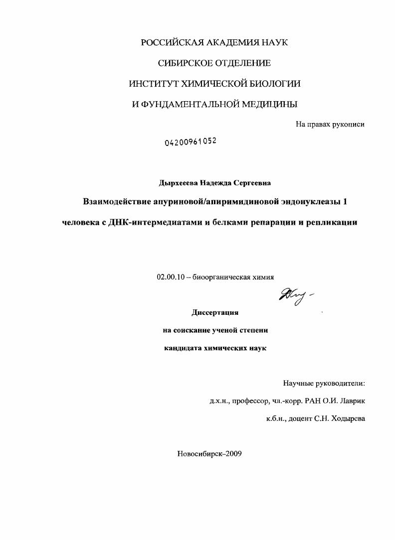 Взаимодействие апуриновой/апиримидиновой эндонуклеазы 1 человека с ДНК-интермедиатами и белками репарации и репликации
