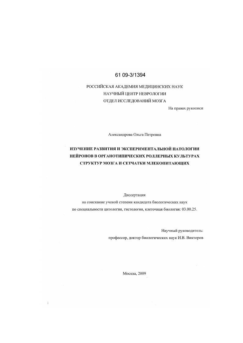 Изучение развития и экспериментальной патологии нейронов в органотипических роллерных культурах структур мозга и сетчатки млекопитающих