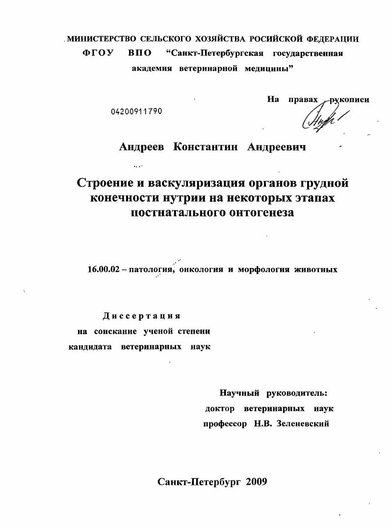 Строение и васкуляризация органов грудной конечности нутрии на некоторых этапах постнатального онтогенеза