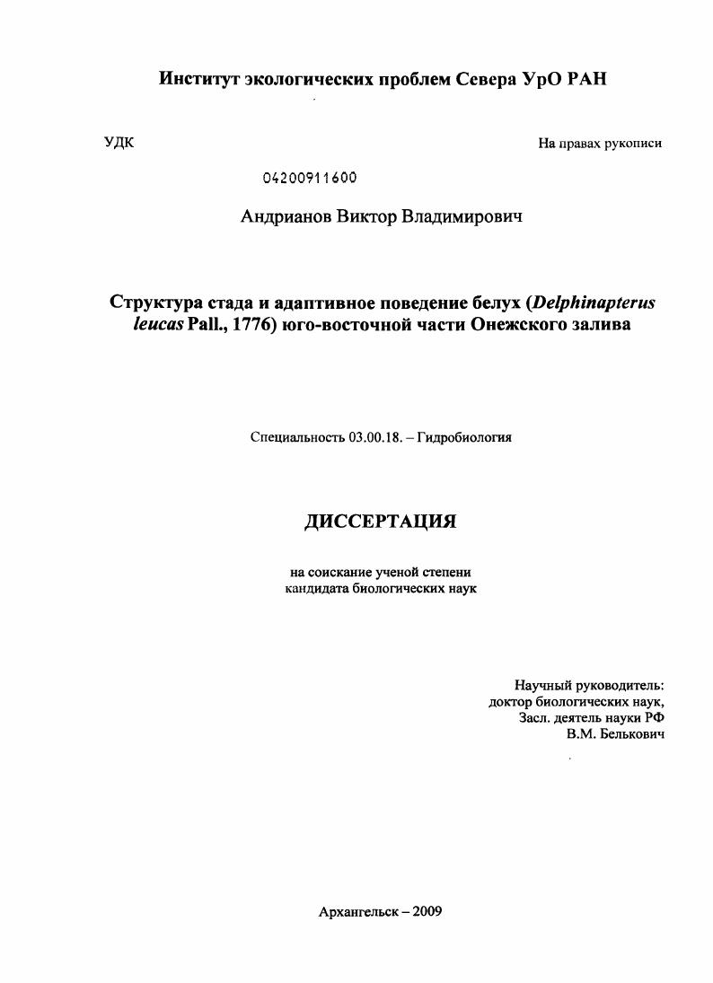 Структура стада и адаптивное поведение белух (Delphinapterus leucas Pall., 1776) юго-восточной части Онежского залива