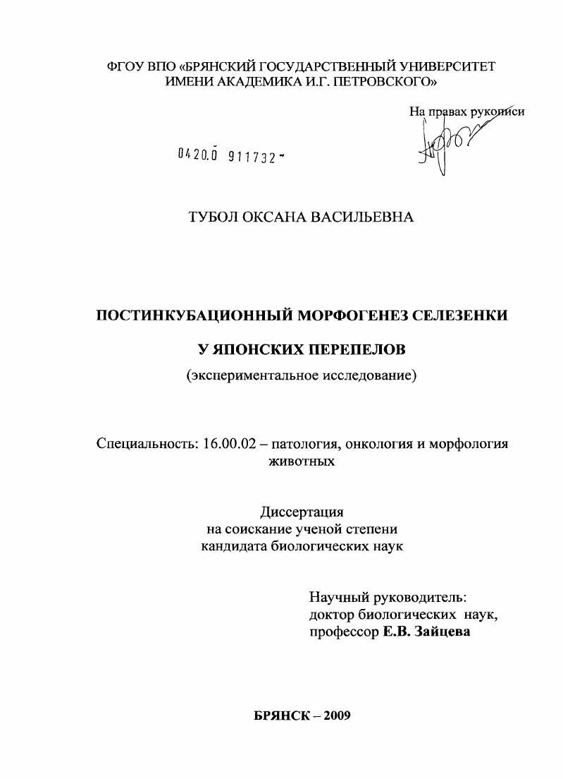 Постинкубационный морфогенез селезенки у японских перепелов : экспериментальное исследование