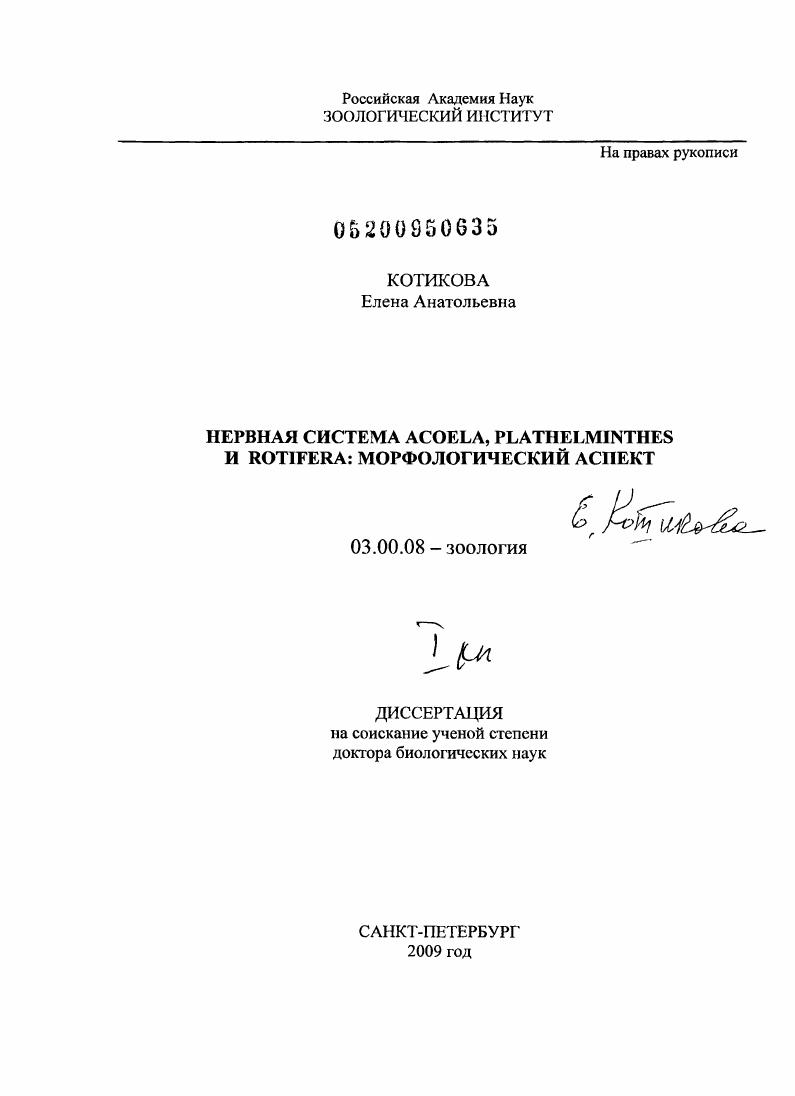 Нервная система Acoela, Plathelminthes и Rotifera: морфологический аспект