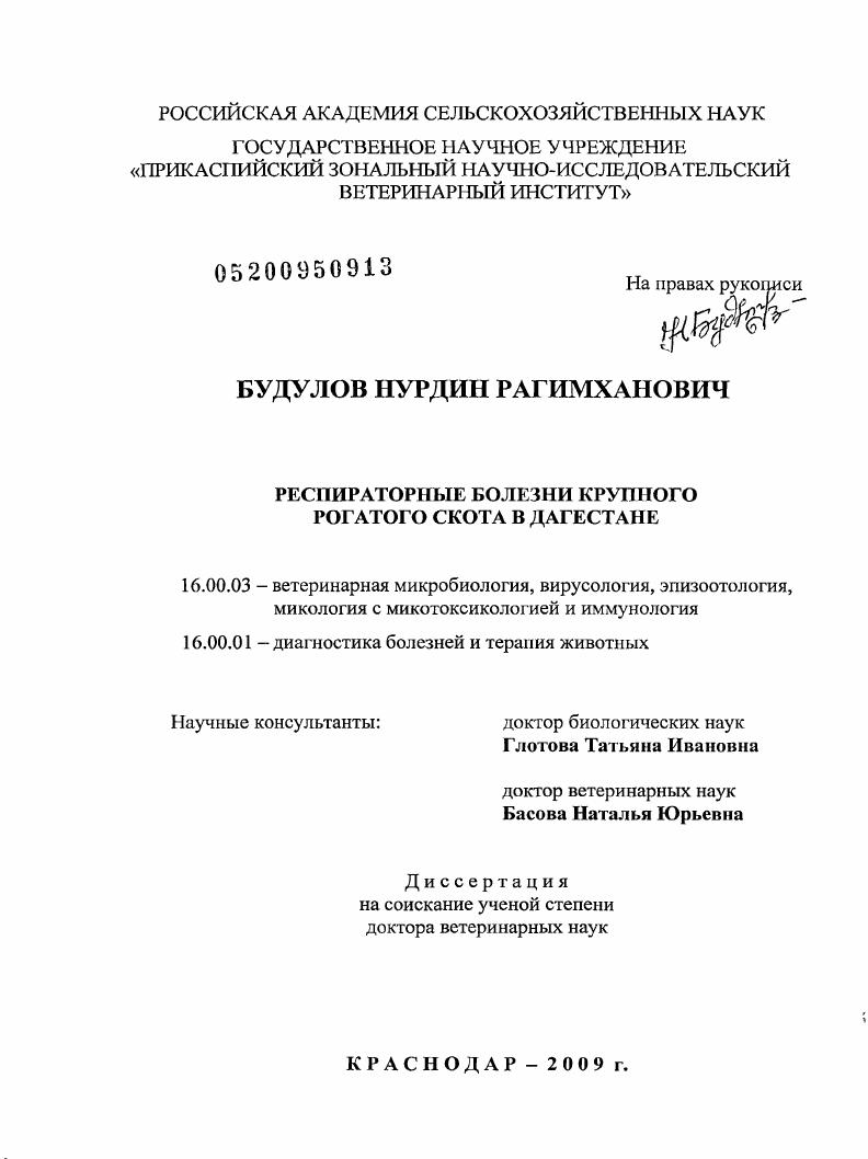 Респираторные болезни крупного рогатого скота в Дагестане