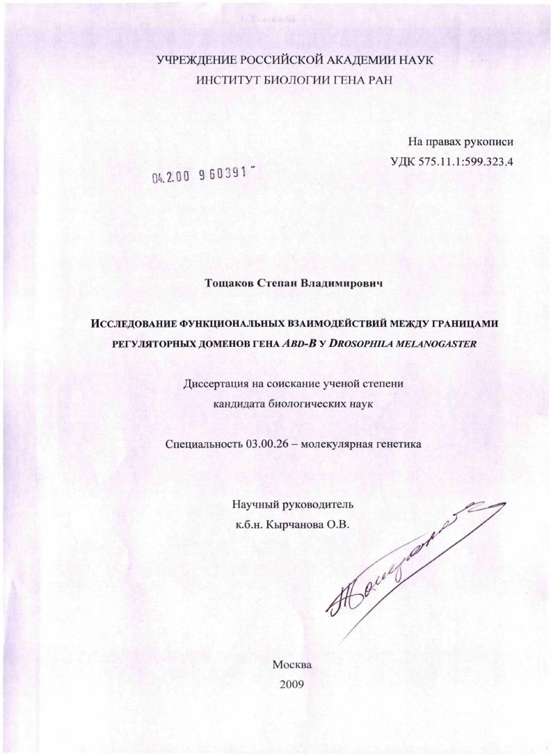 Исследование функциональных взаимодействий между границами регуляторных доменов гена Abd-B у Drosophila melanogaster