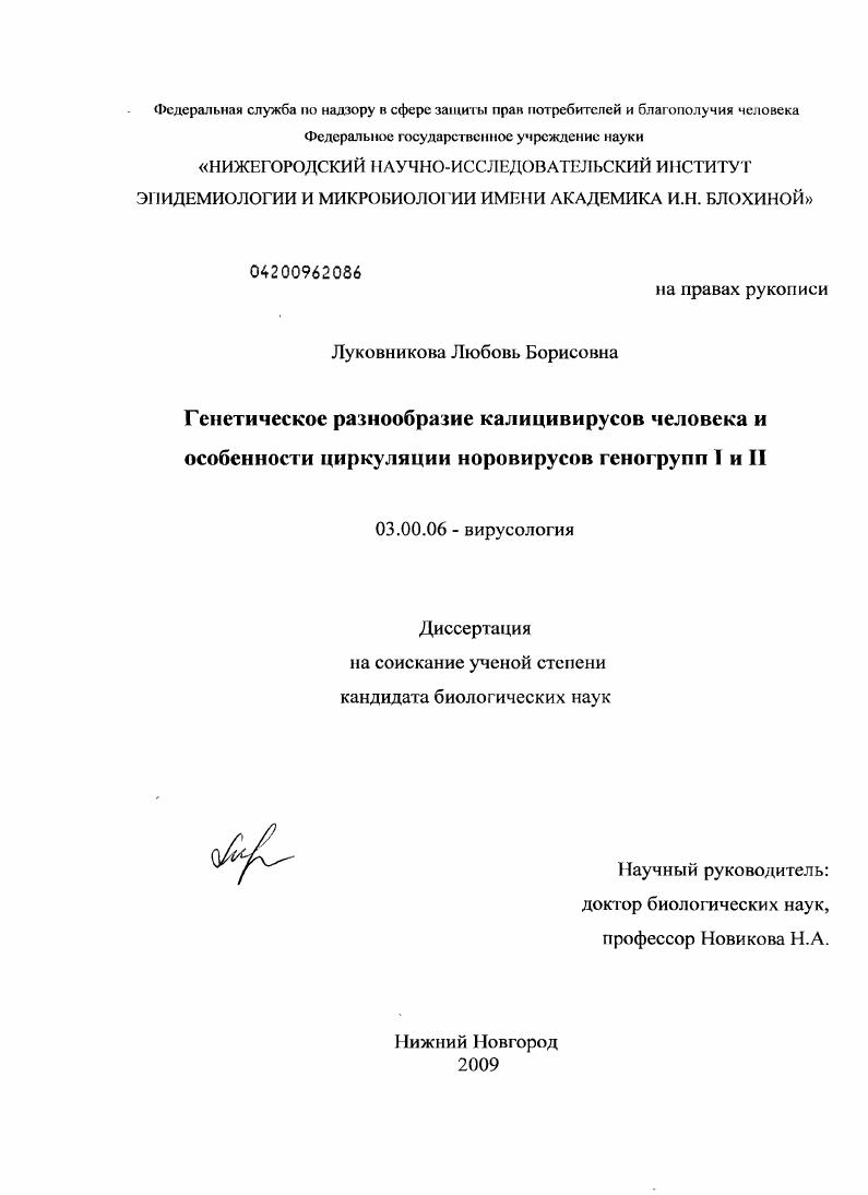 Генетическое разнообразие калицивирусов человека и особенности циркуляции норовирусов геногрупп I и II