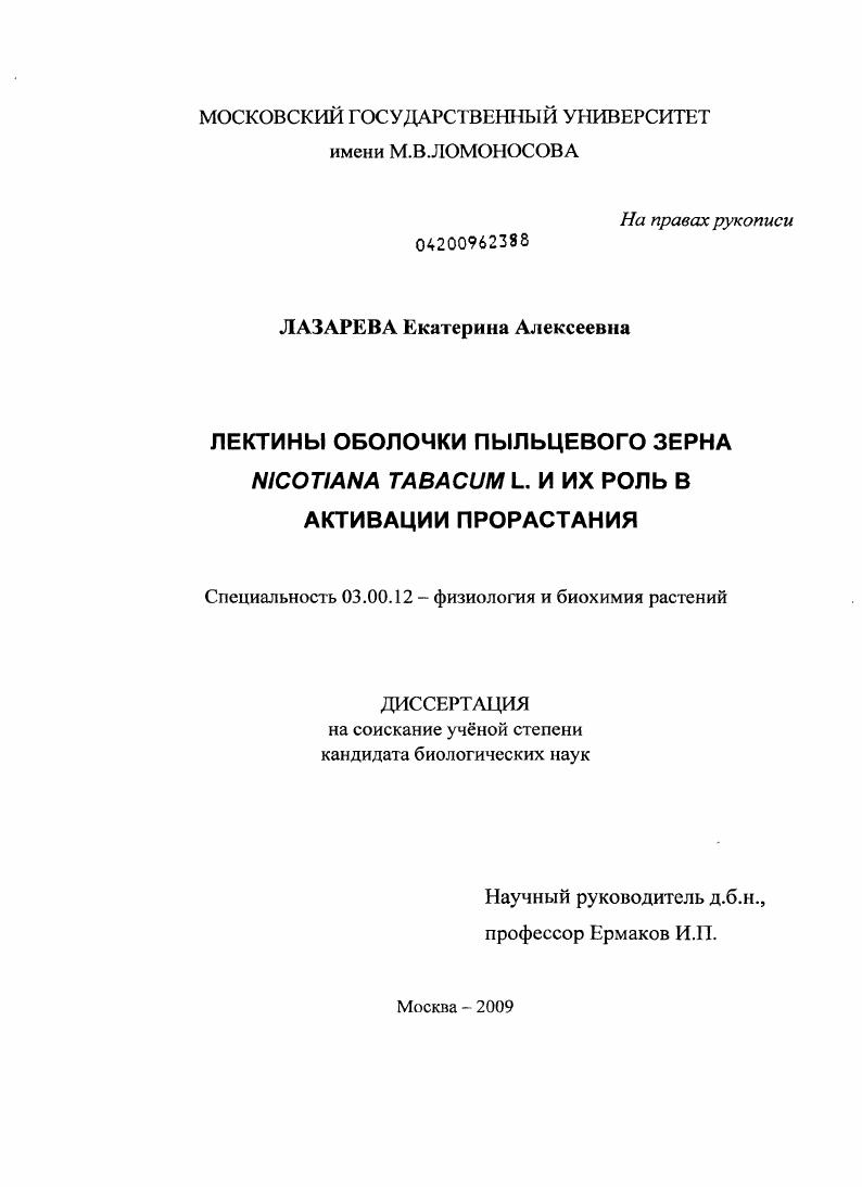 Лектины оболочки пыльцевого зерна Nicotiana tabacum L. и их роль в активации прорастания