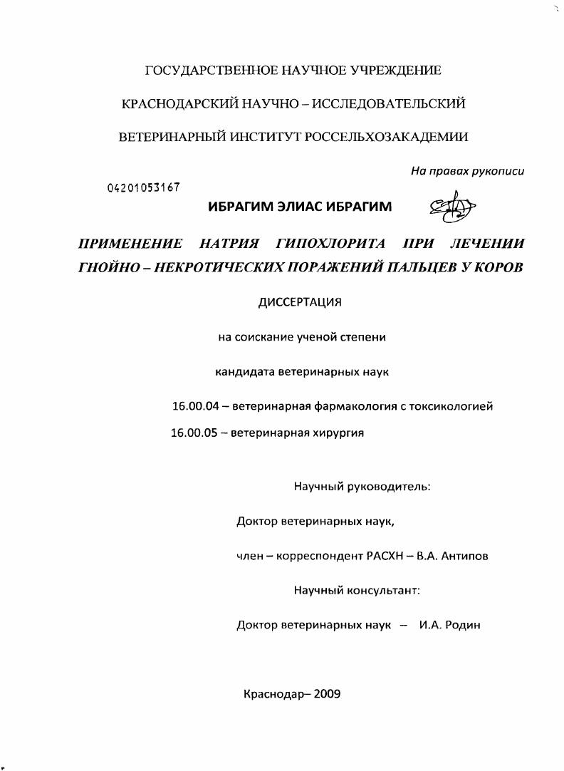 Применение натрия гипохлорита при лечении гнойно-некротических поражений пальцев у коров