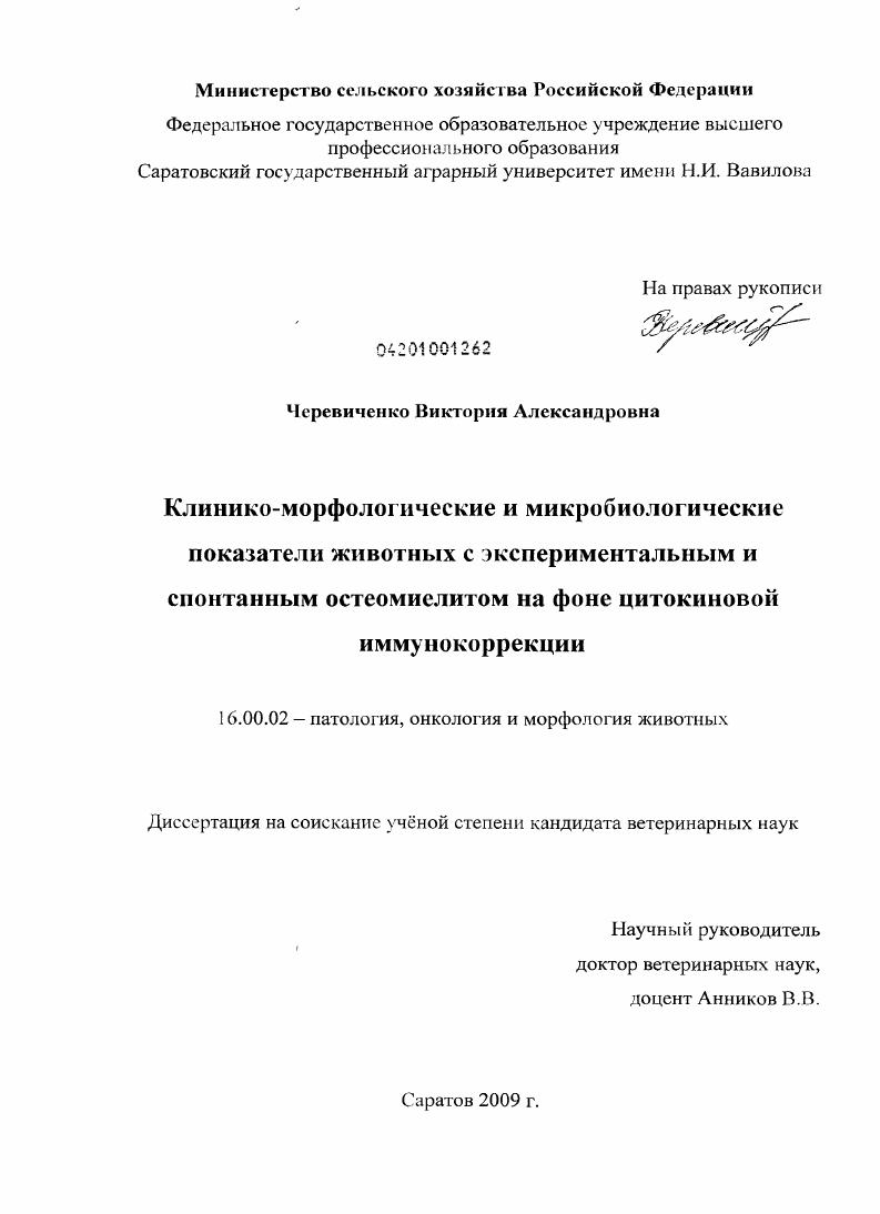 Клинико-морфологические и микробиологические показатели животных с экспериментальным и спонтанным остеомиелитом на фоне цитокиновой иммунокоррекции