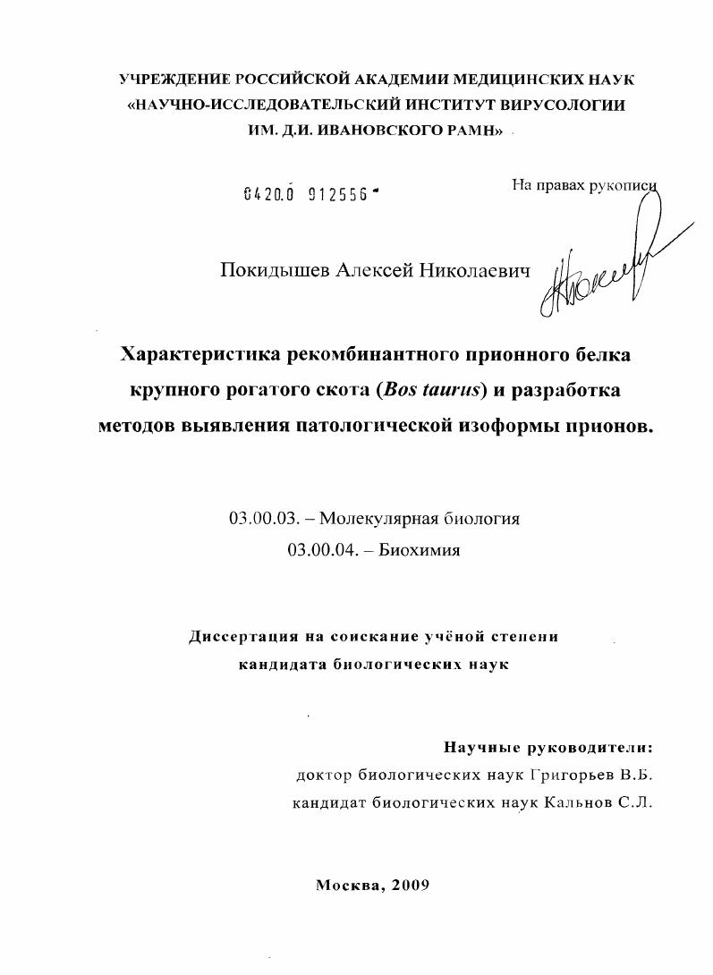 скачать диссертацию Характеристика рекомбинантного прионного белка крупного рогатого скота (Bos taurus) и разработка методов выявления патологической изоформы прионов Характеристика рекомбинантного прионного белка крупного рогатого скота (Bos taurus) и разработка методов выявления патологической изоформы прионов