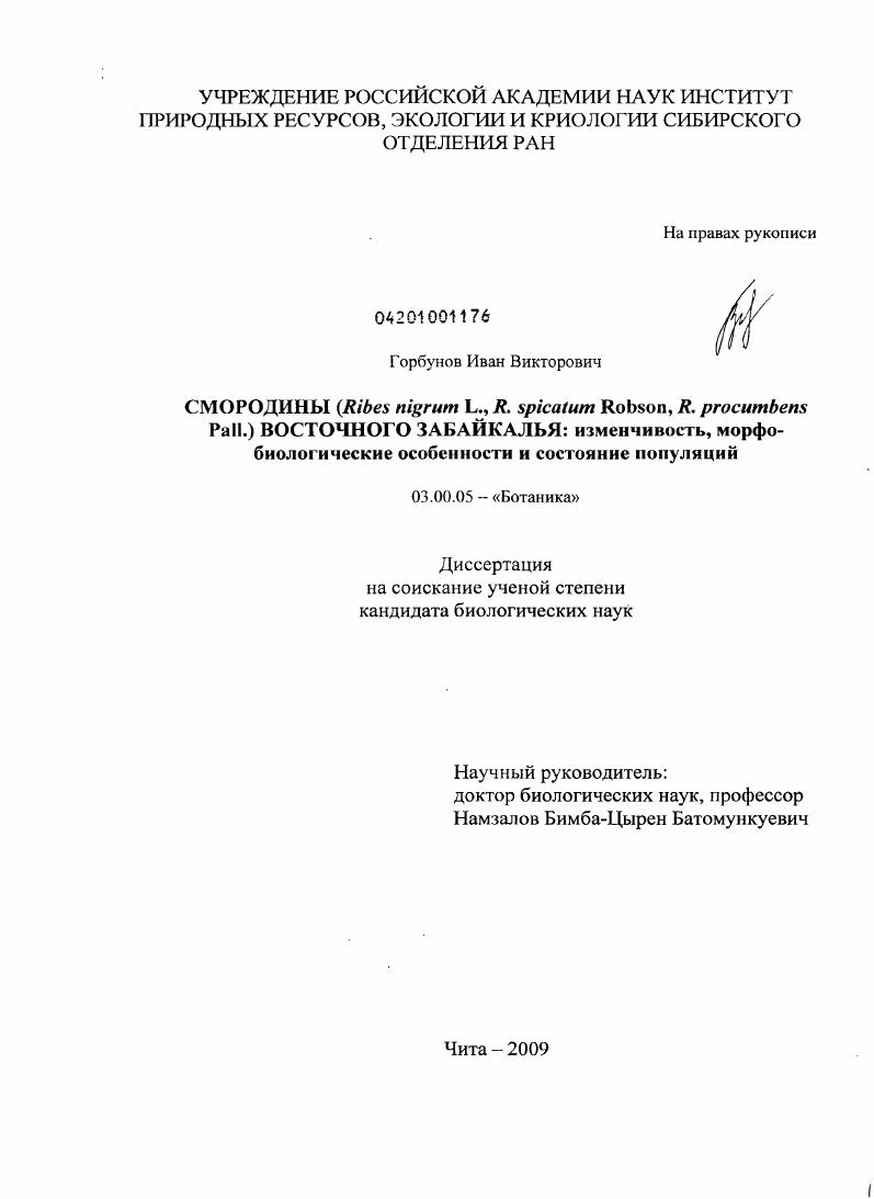 Смородины (Ribes nigrum L.,R.spicatum Robson, R.procumbens Pall.) Восточного Забайкалья: изменчивость, морфобиологические особенности и состояние популяций