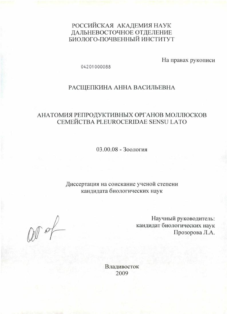 Анатомия репродуктивных органов моллюсков семейства Pleuroceridae sensu lato