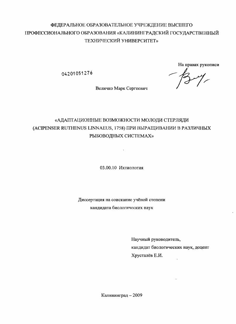 скачать диссертацию Адаптационные возможности молоди стерляди (Acipenser ruthenus linnaeus, 1758) при выращивании в различных рыбоводных системах Адаптационные возможности молоди стерляди (Acipenser ruthenus linnaeus, 1758) при выращивании в различных рыбоводных системах
